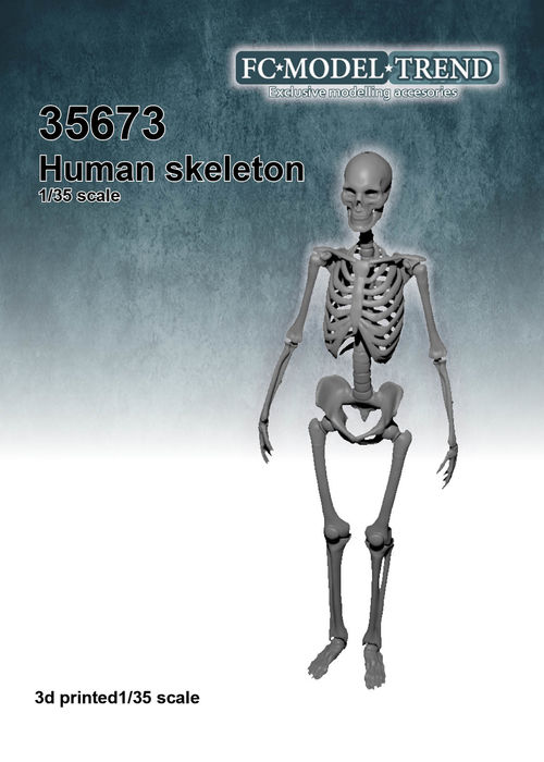 35673 Human skeleton , 1/35 scale