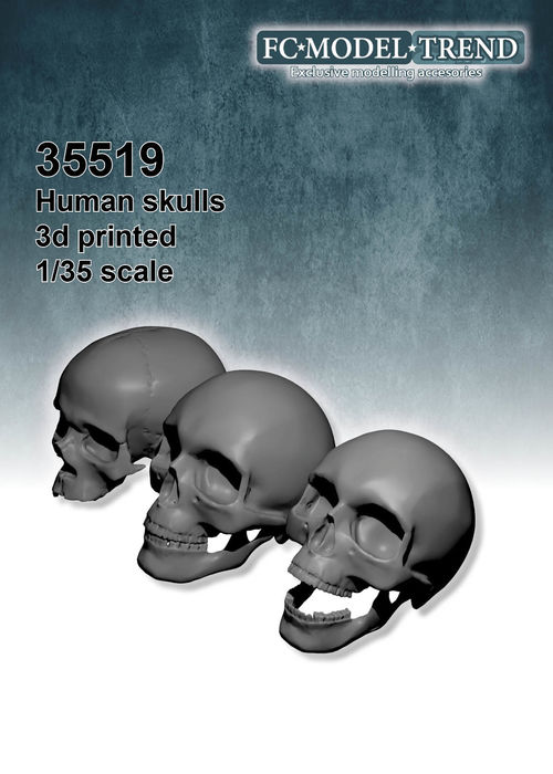 35519 Human skulls, 1/35 scale