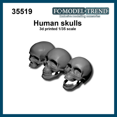 35519 Human skulls, 1/35 scale