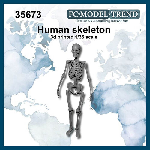 35673 Human skeleton , 1/35 scale